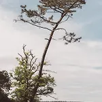 De L'etang Blanc Отель Сеньос