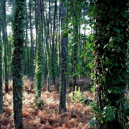 De L'etang Blanc Hotel Seignosse