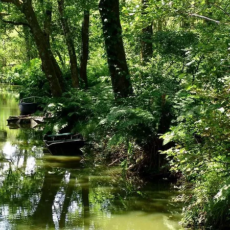 فندق De L'etang Blanc سانيوس