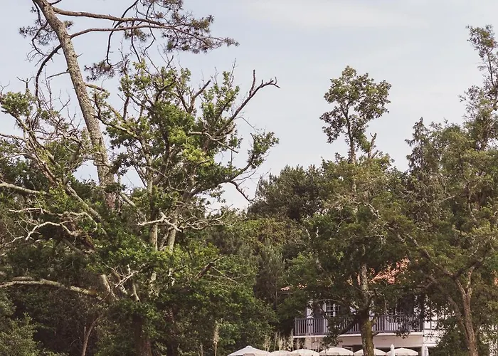 De L'etang Blanc Hotel 3*