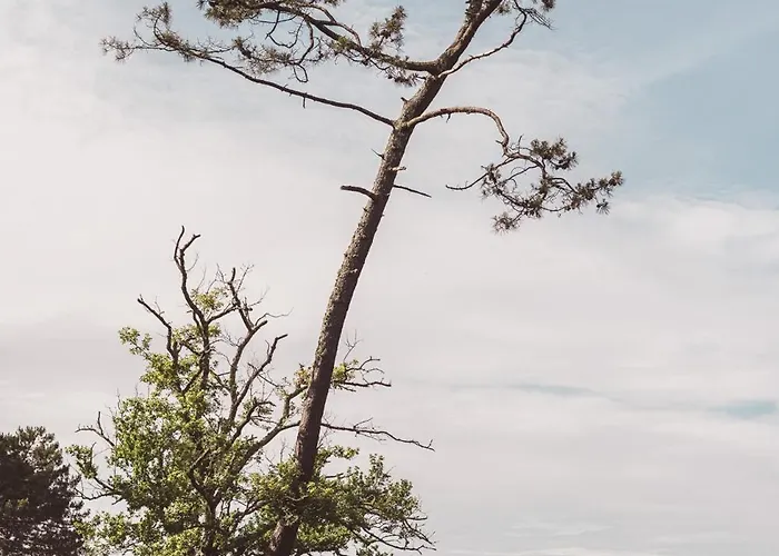 De L'etang Blanc Hotel Seignosse