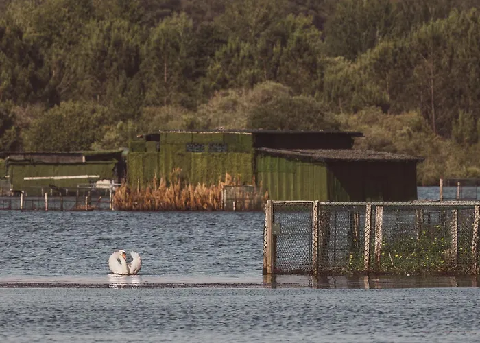 Hotel De L'etang Blanc 3*