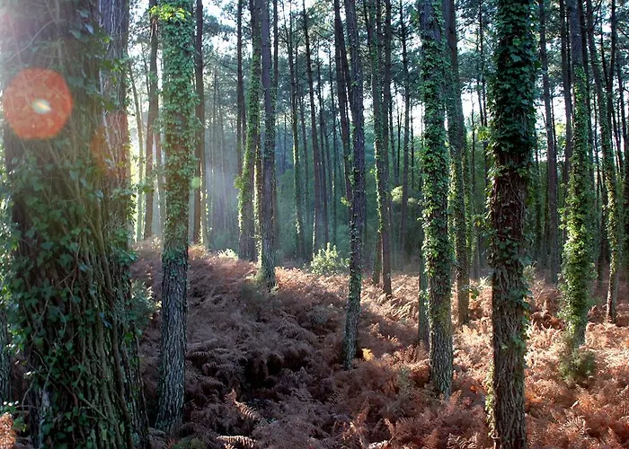 Hotel De L'etang Blanc Seignosse