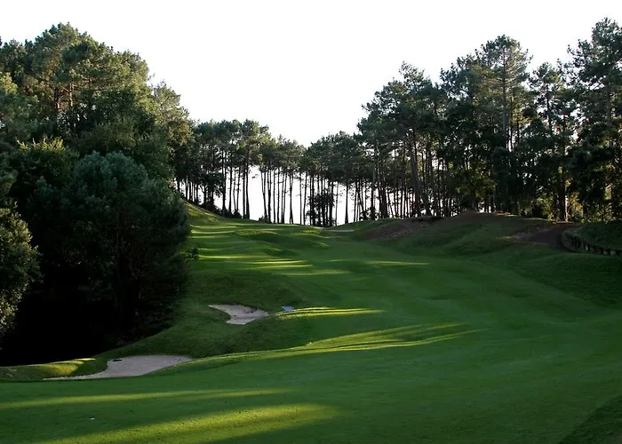 De L'etang Blanc Seignosse