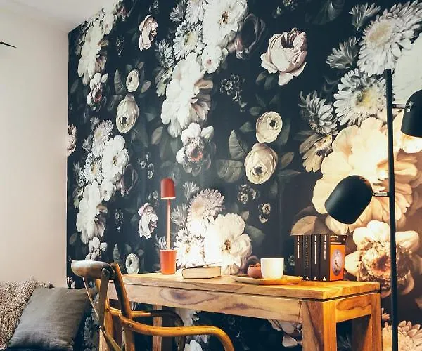 De L'etang Blanc 3* Seignosse